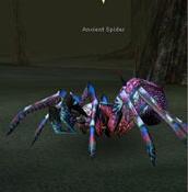 http://lh5.ggpht.com/_avCv3sod1aY/SsIiIBaOnbI/AAAAAAAAAjQ/9wUQqbtrvLM/AncientTarantula.JPG