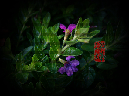 我要在頹敗之中依舊暗香飄送。