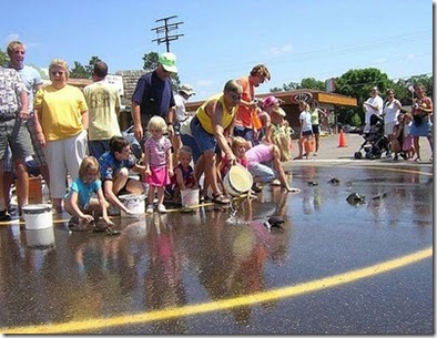 Turtle-racing