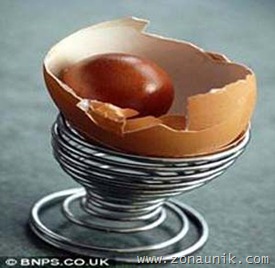 telur-002