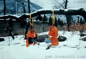 amazingcoolawesomeincredibleShaolinKungFuChinesemartialartsskillphotos5