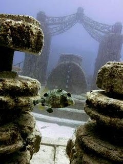 [kuburan bawah laut[3].jpg]