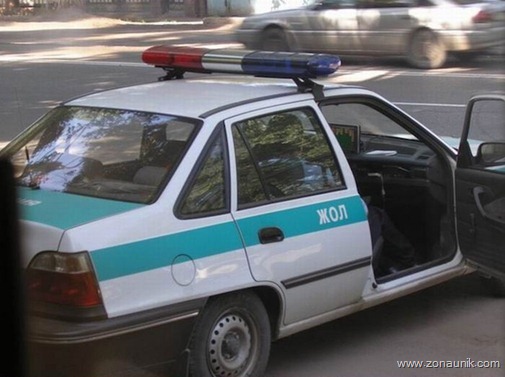 Polisi main solitaire (7)