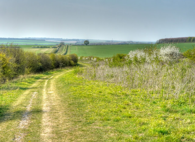 P1080888_2_3_4_5_6_7_tonemapped.jpg