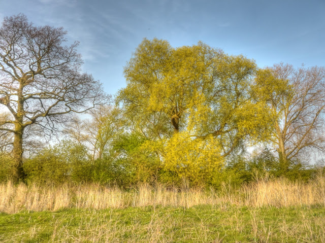 P1090092_86_87_88_89_90_91_tonemapped.jpg