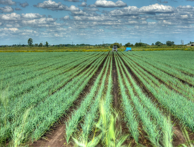 P1140344_38_39_40_41_42_43_tonemapped.jpg