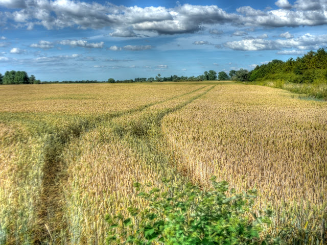 P1140358_2_3_4_5_6_7_tonemapped.jpg