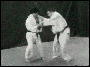 Judo_throw_save.gif