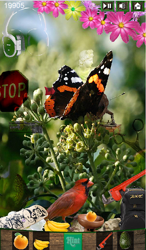 Hidden Object - Butterfly