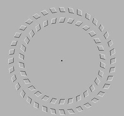 [revolving_circles_optic_illusion10.jpg]