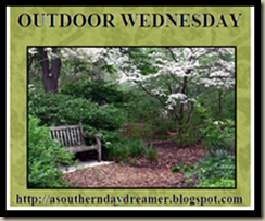 Outdoor_Wednesday