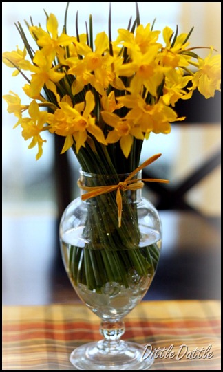 daffodils