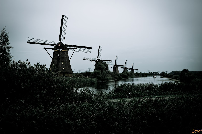 DSC_0228.jpg