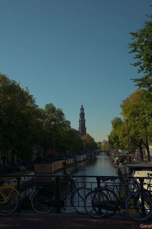 DSC_0451.jpg