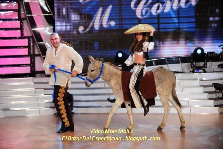 Video Mole Moli 1.jpg