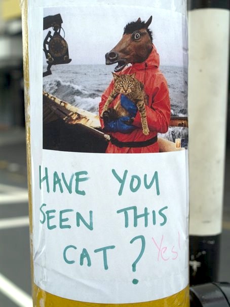 Lost (And Found) Pet Signs Seen On lolpicturegallery.blogspot.com
