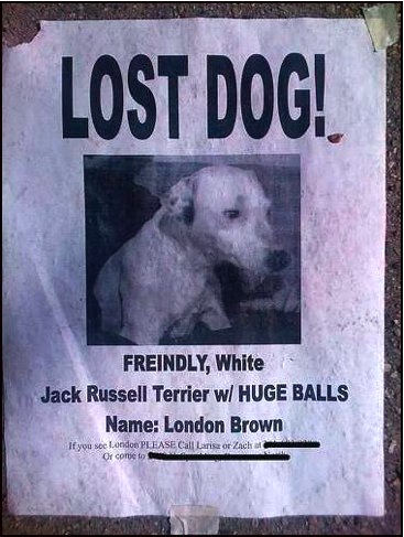Lost (And Found) Pet Signs Seen On lolpicturegallery.blogspot.com