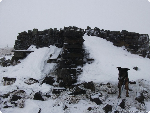 shunner fell summit shelter