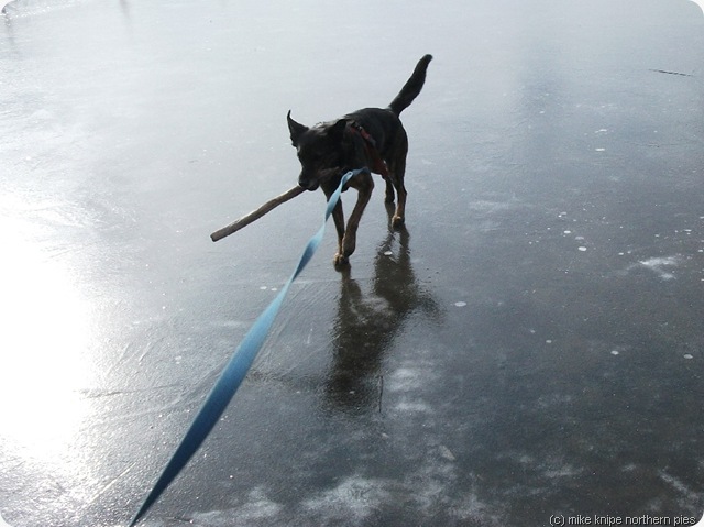 stick rescue from frozen lake