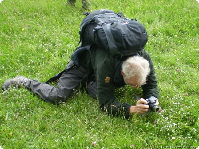 monitoring a sedge