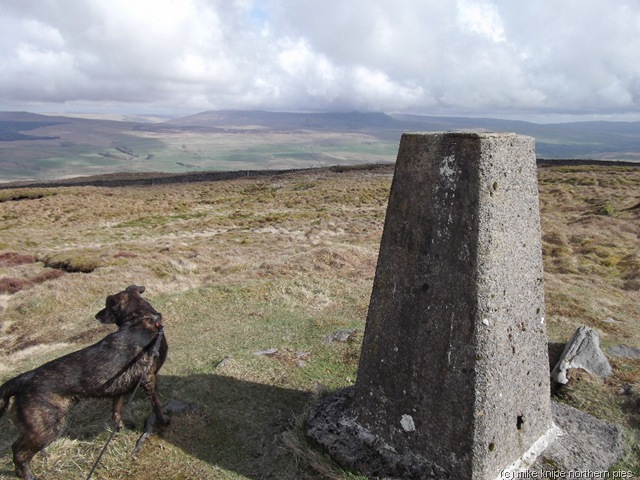 [horton to ribblehead 011[6].jpg]