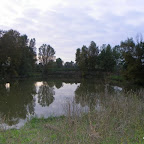 Carpodrome de l’étang des Garennes photo #9