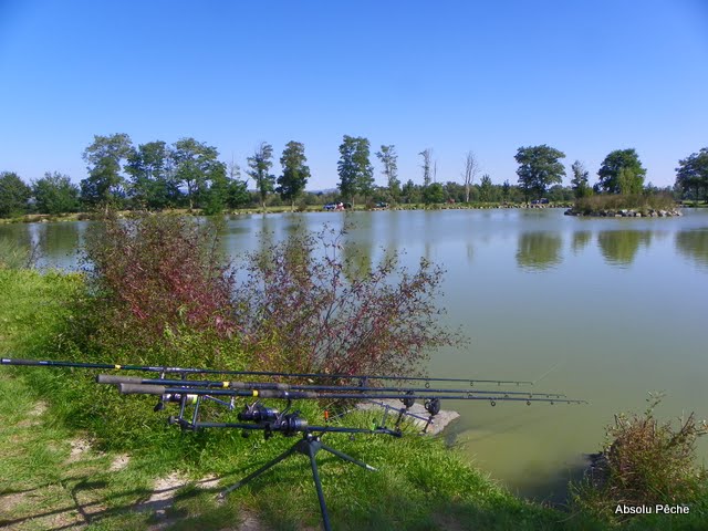 Etang Guillaume photo #56