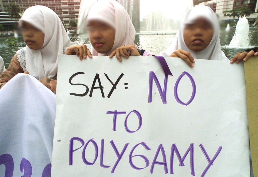 [polygamy4.jpg]