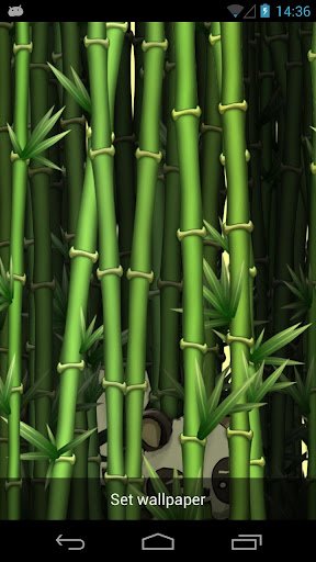 Bamboo Garden Live Wallpaper - by Stylish Apps
