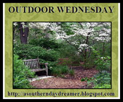 Outdoor Wednesday logo