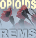 OpioidREMS