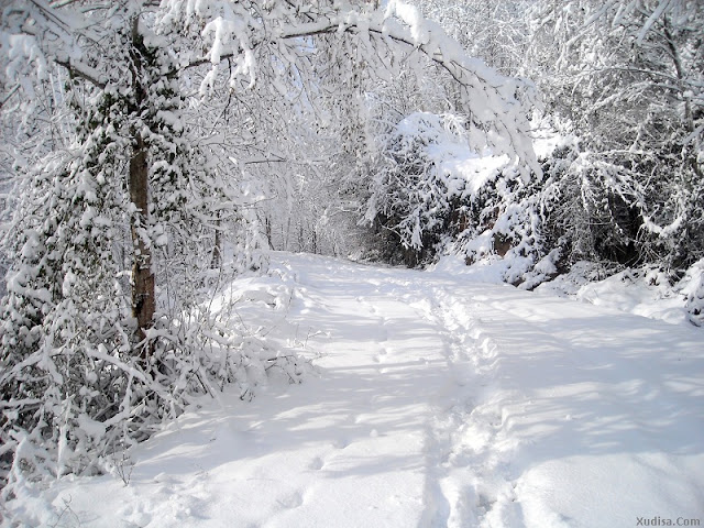 DSCN0007.JPG