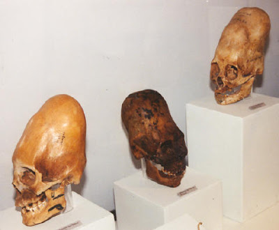 cranios2.jpg