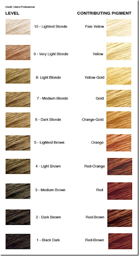 Killerstrands Hair Clinic: The “Level System” in Hair Color ...