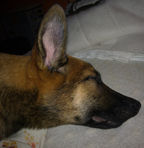 20100118029.jpg