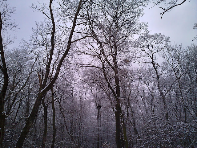 20100120055.jpg