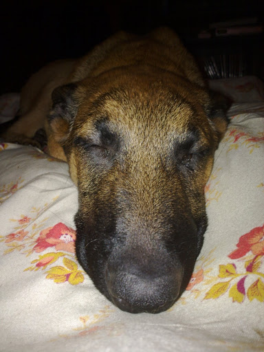 20100121078.jpg