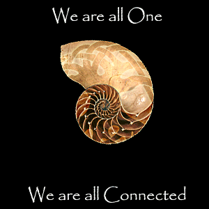 Somos Todos Um. Estamos Todos conectados!