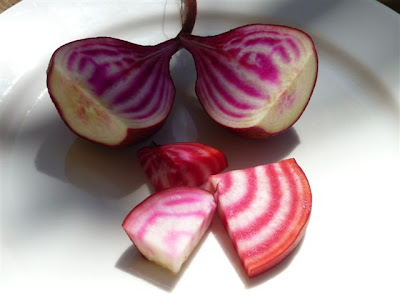 Chioggia Beets - Photo by Jill Nussinow