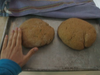 loaves postrise