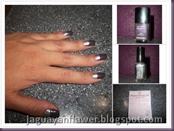 110501 - Purple n Silver