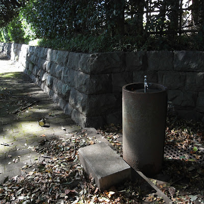 水飲み場：平塚市博物館あたり