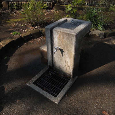 水飲み場：洗足池