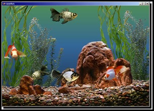 goldfish_aquarium-654-scr