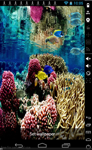 免費下載個人化APP|Coral Reef Wallpaper app開箱文|APP開箱王