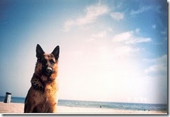 clip_image001 clip_image001