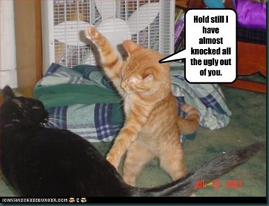 funny-pictures-cat-attacks-ugly-cat