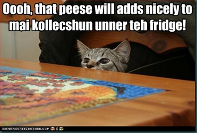 funny-pictures-cat-collects-puzzle-pieces
