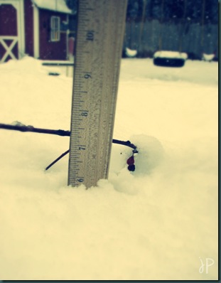 ruler in snow wm.jpeg