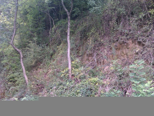 IMAG0023.jpg